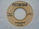 RAS IBUNA Diverse Doctrine PITTSBURGH  Killer  Roots Reggae 7