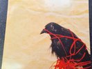 Death Cab for Cutie - Transatlanticism VINYL Double LP Ben Gibbard Emo