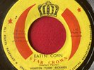 WINSTON Flook RICHARDS _ Island Funk _ EATIN' CORN 45 _ BLUE RHYTHM COMBO 7