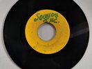 MAYTALS - LITTLE FLEA // DOG WAR [ BLANK PRE ]   [ JUL001 ]
