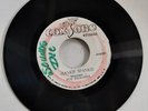 ALTON ELLIS - I'M STILL IN LOVE // ROY RICHARDS - HANKIE SPANKIE    [ JUL022 ]