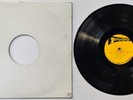 DUB SPECIALIST - ITAL SOUNDS & SYSTEM [ STUDIO ONE ] LP  [ JUL490 ]