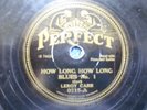 Leroy Carr 78 Perfect 0215 V Condition How Long How Long Blues No.1/No.2