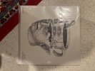 Goose Buffalo, NY Compilation 11/16/2019 Vinyl Brand New - Goose the Band Record