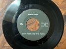 RARE Surf Rock 45 Record STEVE ROWE & THE FURYS Rockabilly Garage MINOR CHAOS