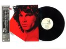 THE DOORS 
