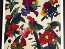 Washed Out - Paracosm 2013 Green Transparent Vinyl LP Sub Pop Near Mint