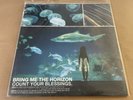 Bring Me The Horizon Count Your Blessings Blue Translucent Vinyl LP