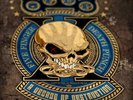 Five Finger Death Punch A Decade of Destruction - Volume 2 (Vinyl) 12