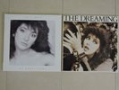 2 LP's Kate Bush The Whole Story & The Dreaming German & Dutch Pressings NM