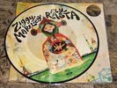 ZIGGY MARLEY fly rasta 2013 LTD ED 180G VINYL LP PICTURE DISC bob reggae music