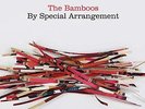 The Bamboos By Special Arrangement (Vinyl) 12