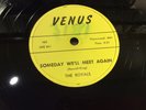 ROYALS Venus 103 Someday We'll Meet Again RARE DETROIT DOO-WOP R&B 78 EXC 1954