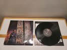 SPECIAL ED-YOUNGEST IN CHARGE -VINYL RECORD ALBUM - 1989