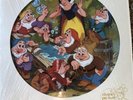 Vintage Walt Disney Picture Disc Snow White And Seven Dwarfs Record Vinyl 33 RPM