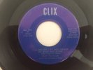 Michigan Bluegrass 45 RAY TAYLOR I'll Never Let You Weary My Mind CLIX  hear