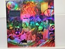 Green Day Insomniac 25th Anniversary Vinyl LP     82206