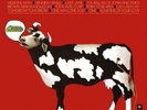 Mike Melvoin The Plastic Cow Goes Moooooog (Vinyl) 12