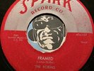 ROBINS Doowop R&B Rocker 45 Spark #107 Framed b/w Loop De Loop Mambo VG+
