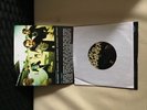 a day to remember vinyl Record  All i want mint green