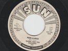 GARAGE ROCK 45 - RANDY and the RADIANTS - PEEK-A-BOO  - HEAR 1965 PROMO SUN 395