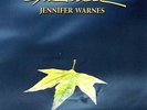 Jennifer Warnes - The Well Box Set Vinyl LP IMP 6001-45
