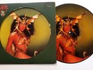 CHER - TAKE ME HOME LP EX VINYL Rare Original 1979 Picture Disc Disco Album