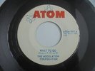 The Modulation Corporation - What To Do c/w Worms 1967 USA 45 ATOM GARAGE PSYCH