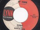 Garage Soul 45 SUNNY & THE SUN-GLOWS 