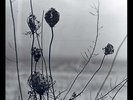 RECONDITE Placid 2x LP NEW VINYL Acid Test Absurd Rødhåd Donato Dozzy Tin Man