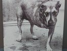Alice In Chains 12