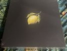 Beyoncé How To Make Lemonade Box Set SEALED
