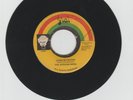 ITAL/ LEAD US FATHER - AFRICAN BROTHERS (74 REGGAE ROOTS 7