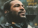 Marvin Gaye ‎– What's Going On 180g GATEFOLD VINYL LP NEW & SEALED