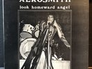 aerosmith look homeward angel lp