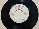 HEAR  RARE JAMAICAN ROOTS DUB 45 EX  Lloyd Parks Mafia UNDER WORLD