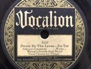 Down By The Levee/Parkway Stomp by Albert Wynne and His Gut Bucket Five (Vocalio