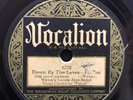 Down By The Levee/Parkway Stomp by Albert Wynne and His Gut Bucket Five (Vocalio