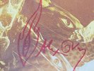 Tool - Fear Inoculum Vinyl 3LP Signed / Autographed By Alex Grey w/ Poster  NEW