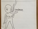 Tortoise TNT Vinyl LP Record Thrill Jockey 1998 First Pressing Post-Rock Emo