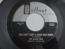 The Jagged Edge - You Can't Keep A Good Man Down 1966 USA 45 GALLANT GARAGE