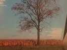 GEORGE WINSTON Autumn Piano Solos
