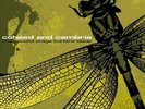The Second Stage Turbine Blade by Coheed and Cambria (Vinyl, Equal Vision)