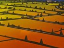 LEMON JELLY - LOST HORIZONS 2002 2 x Vinyl LP Foldout Sleeve + inners IFXLLP160