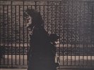 Neil Young - After the Gold Rush - 2009 - Reprise - 140g - New Vinyl Album
