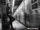 Willie Nile New York at Night (Vinyl) 12
