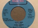JAVIER VAZQUEZ - Quiero Beber /Que Me Importa - Latin/salsa 45 Rpm Alegre X-4072