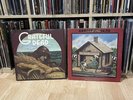 Grateful Dead Wake of the Flood & Terrapin Station Vinyl LP Original VG/VG+