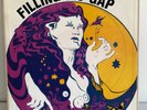 Rare PSYCH Box Set FILLING THE GAP 4 LP BOX GARAGE PUNK LP 45 60's FUZZ COMP
