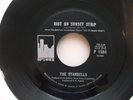 THE STANDELLS  